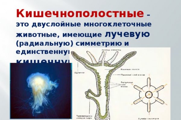 Восстановить аккаунт на кракене