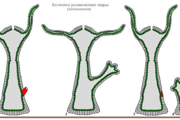 Что такое кракен площадка