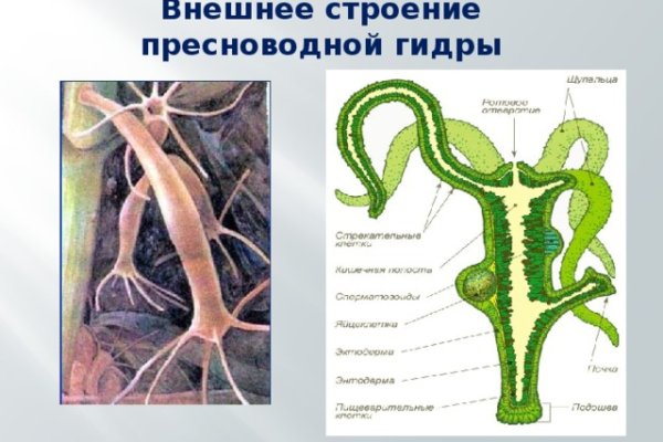 Кракен сайт вход