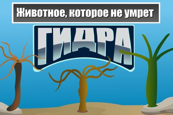 Мега кракен