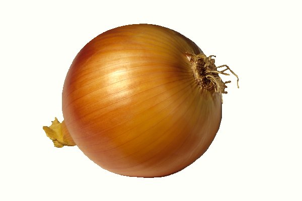 Kraken onion link