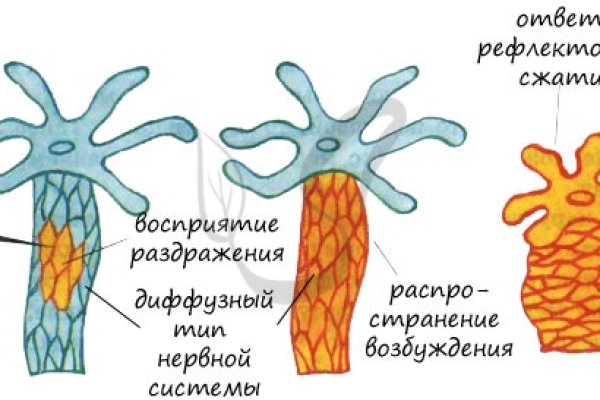 Кракен даркнет текст